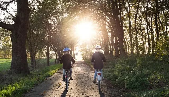 Les meilleures astuces pour adapter votre pratique du vélo pour PMR