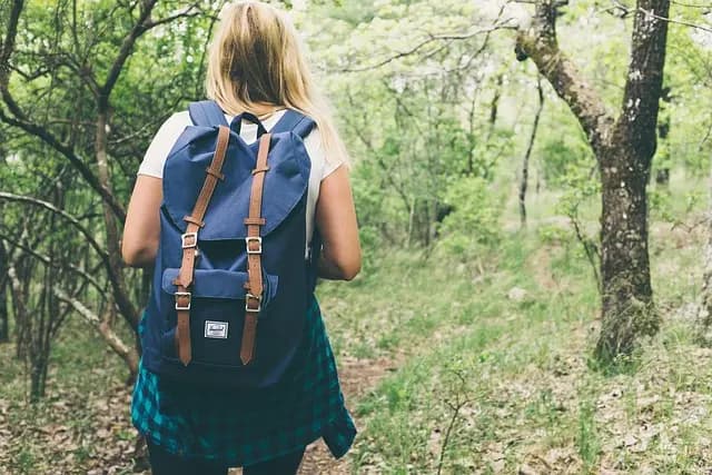 Les meilleures pratiques pour réussir un trek adapté PMR