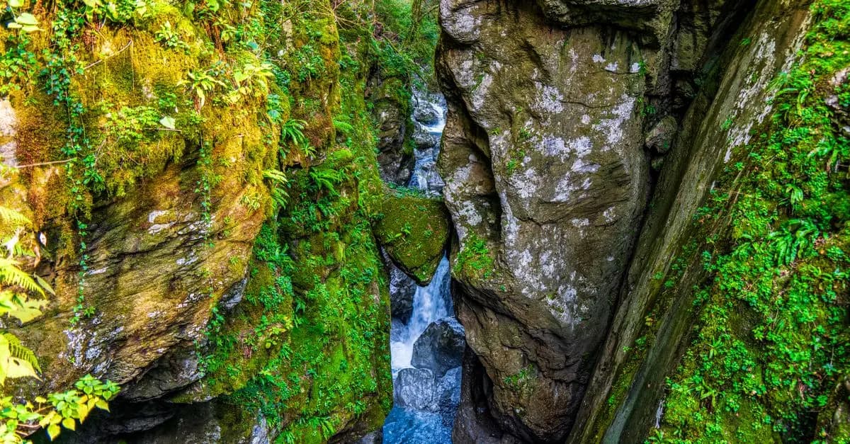10 conseils pour réussir votre première sortie en canyoning adapté