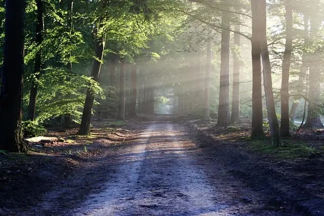 Comment se préparer à une aventure en pleine nature PMR