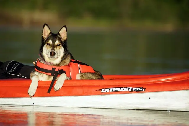 Les meilleurs conseils pour pratiquer le kayak adapté PMR