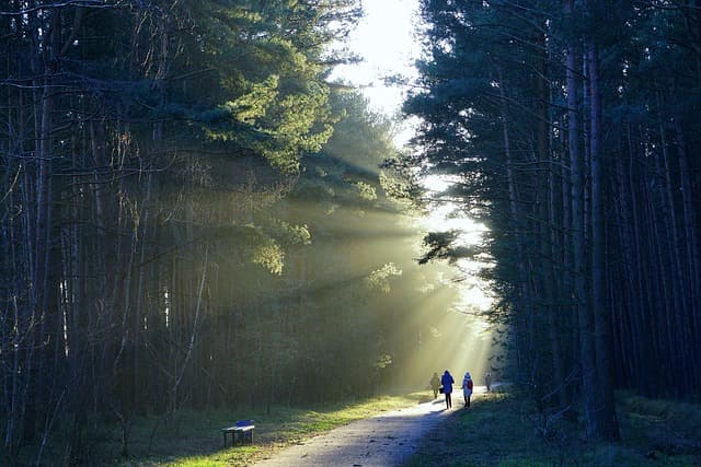 10 conseils pour préparer une sortie en pleine nature PMR