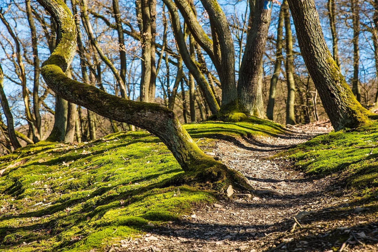 Les meilleures destinations de randonnée PMR à travers le monde